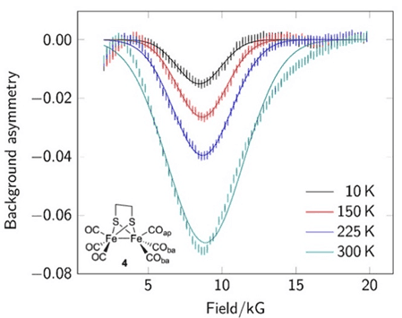 μSR experimental results for the redox-active metal hydride compound