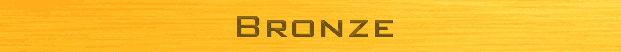 Bronze Sponsors