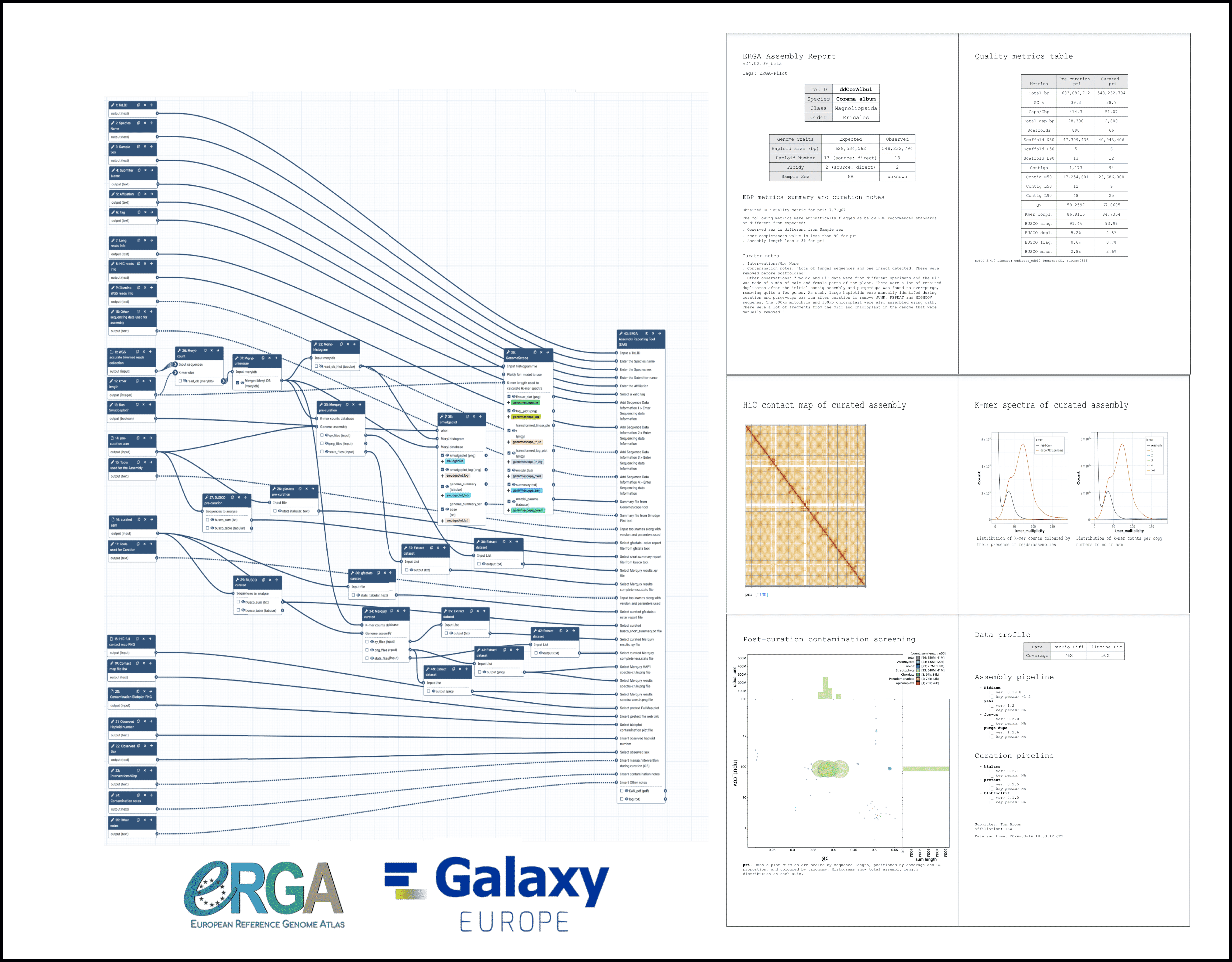 A graphical representation of ERGA Assembly Reporting tool in a Galaxy workflow and resultant output PDF report