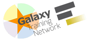 Galaxy Training Network