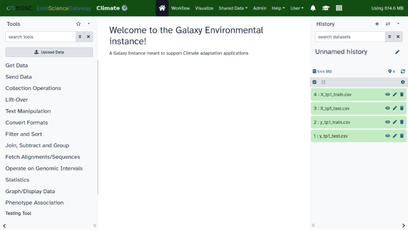 Galaxy Environmental instance