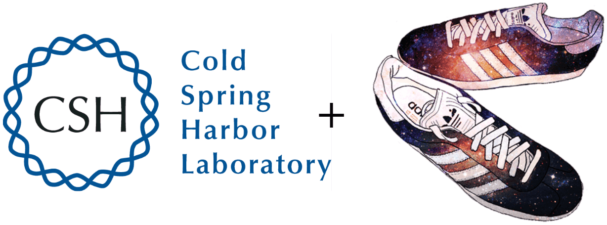 JTech 2020 Scholarship: CSHL Biological Data Science