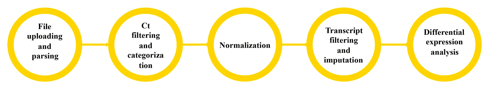 Figure 1: PIPE-T Process