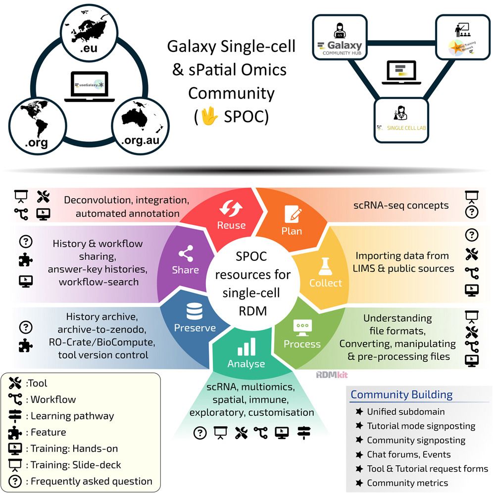 Galaxy single-cell and spatial omics graphical abstract