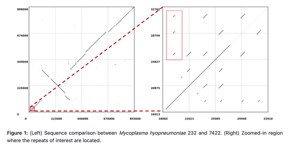 Comparison