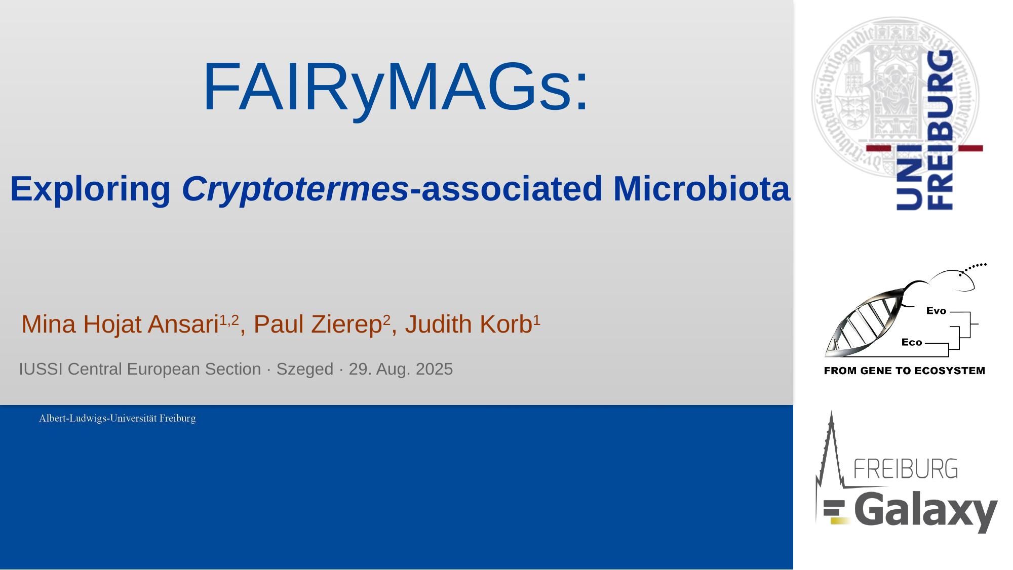 First slide of the CE-IUSSI 2025 talk on FAIRyMAGs