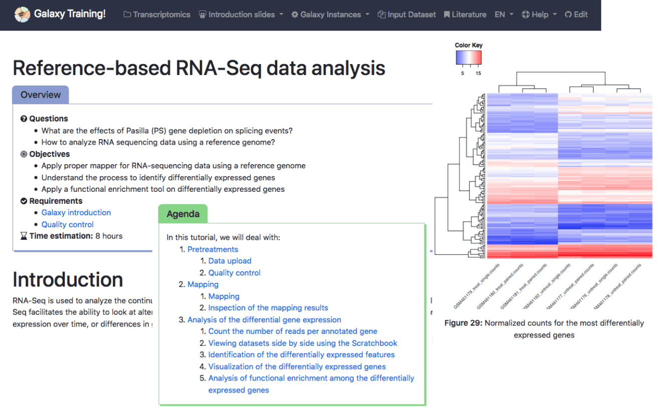 Reference based RNA-seq overview