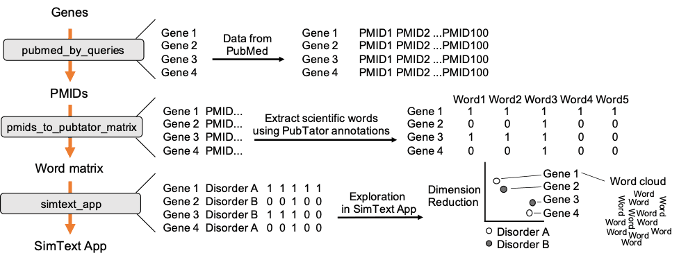 Schematic presentation of the workflow