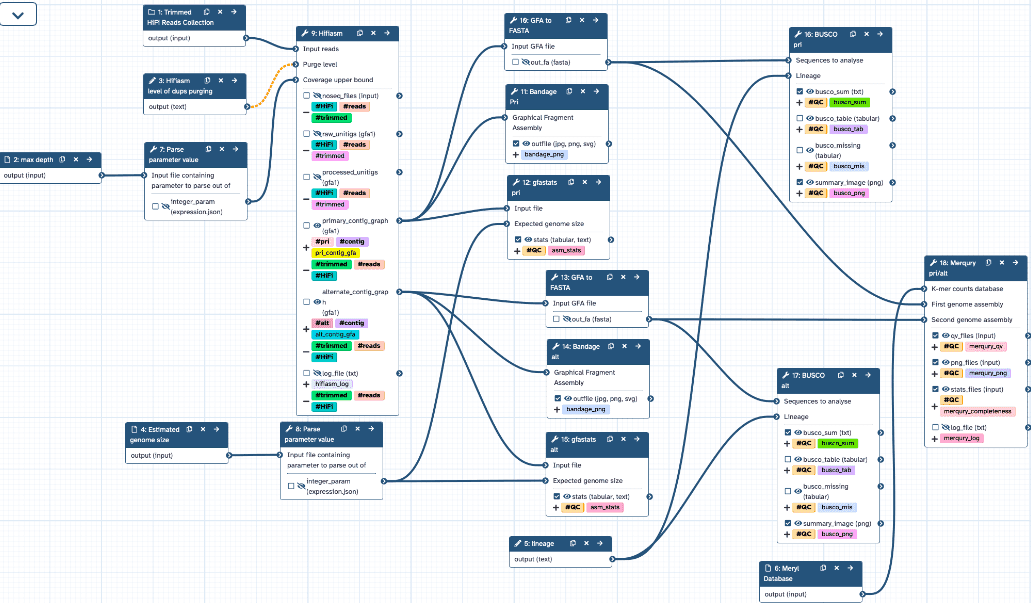Genome assembly workflow