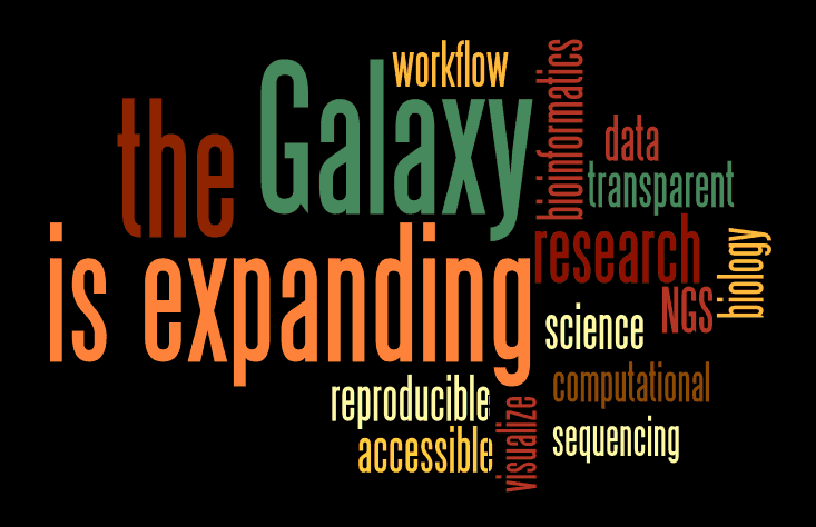 Please Help! Yes you!