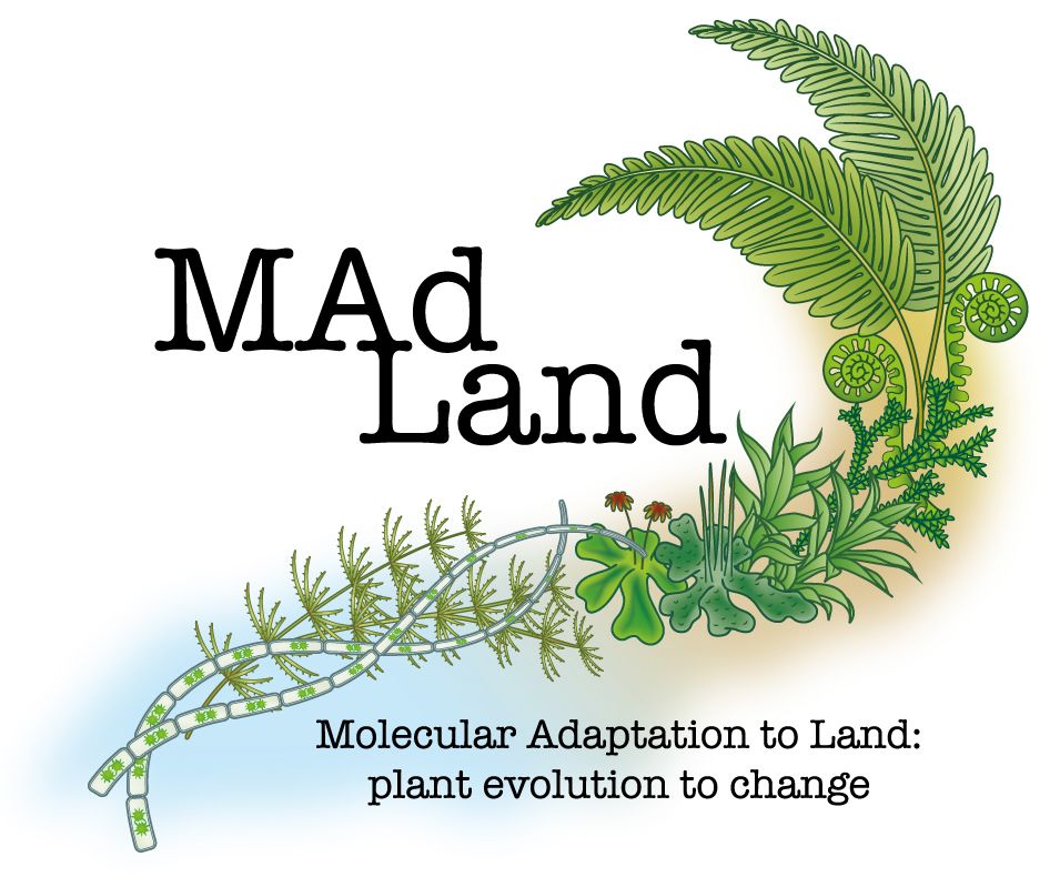 Logo of madland