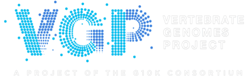 VGP logo