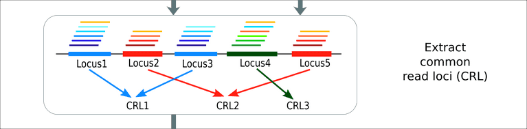 RNA-RNA Interactome