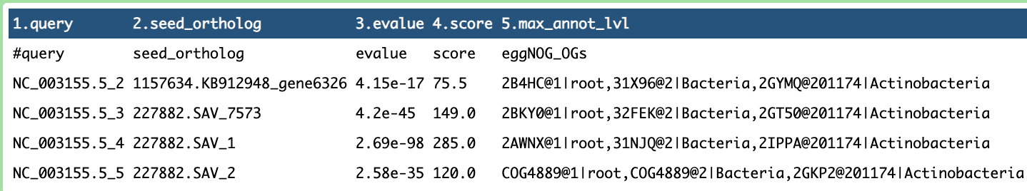 Diagram showing the eggNOGMapper tool output