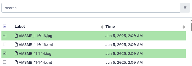 Galaxy: Upload dialog showing a file queued for upload to BSC Dataverse