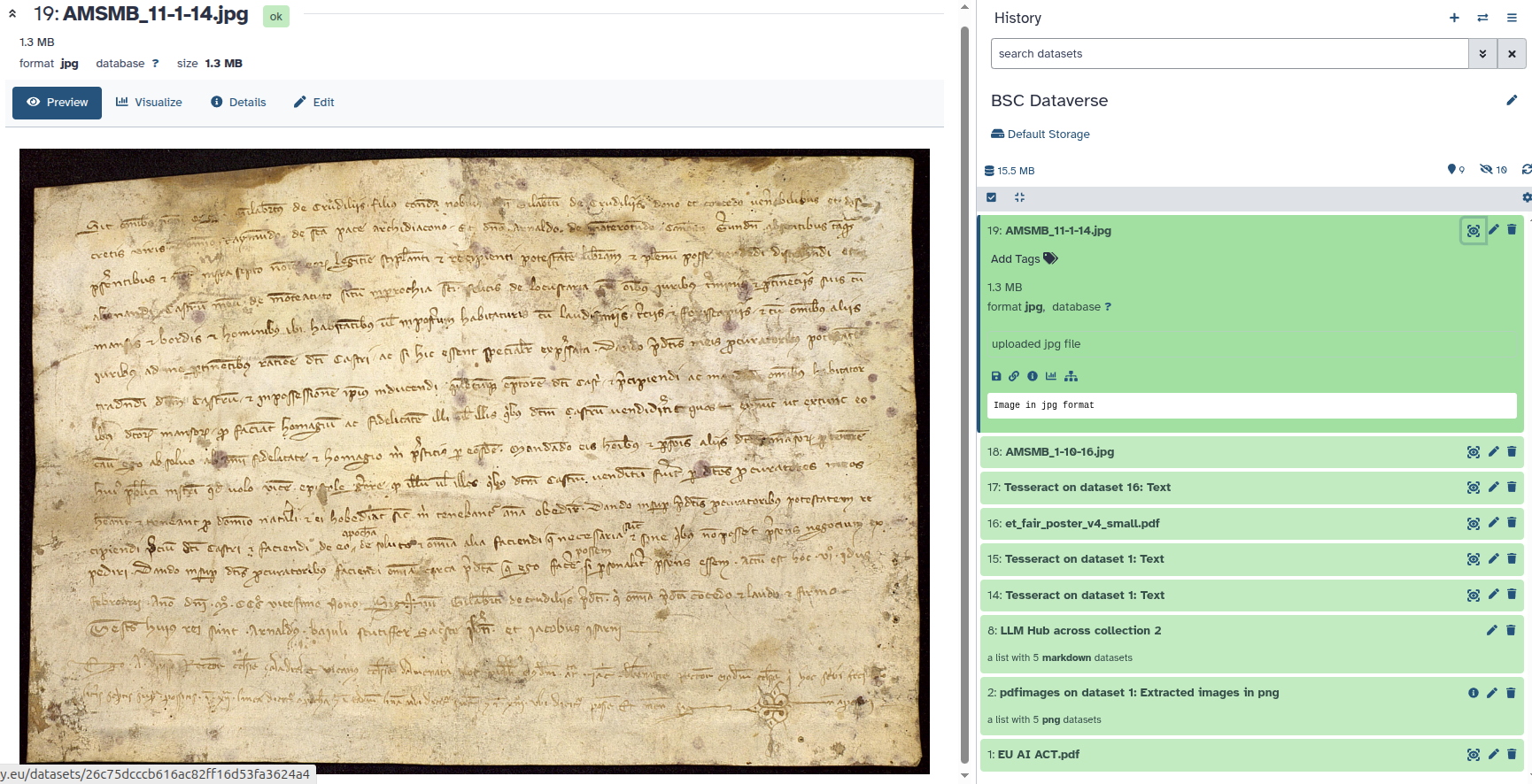 Galaxy: history panel showing the imported dataset