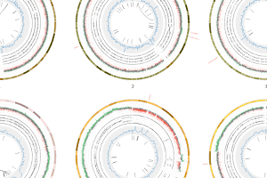 CTMM-TraIT Demo Galaxy