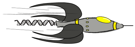 RNA-Rocket @ Pathogen Portal